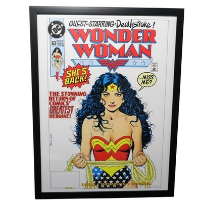 Wonder Woman Comic Cover #63 Framed 12x16 Wall Art | DC Comics by Brian Bolland