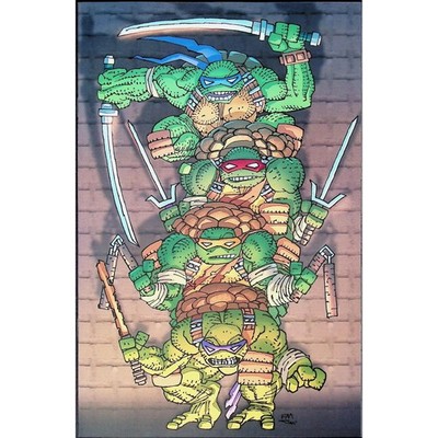 Teenage Mutant Ninja Turtles #20AX Frank Miller Blind Bag IDW Comic Book